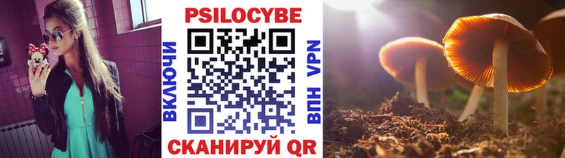 Псилоцибиновые грибы мухоморы  где найти   Арск 